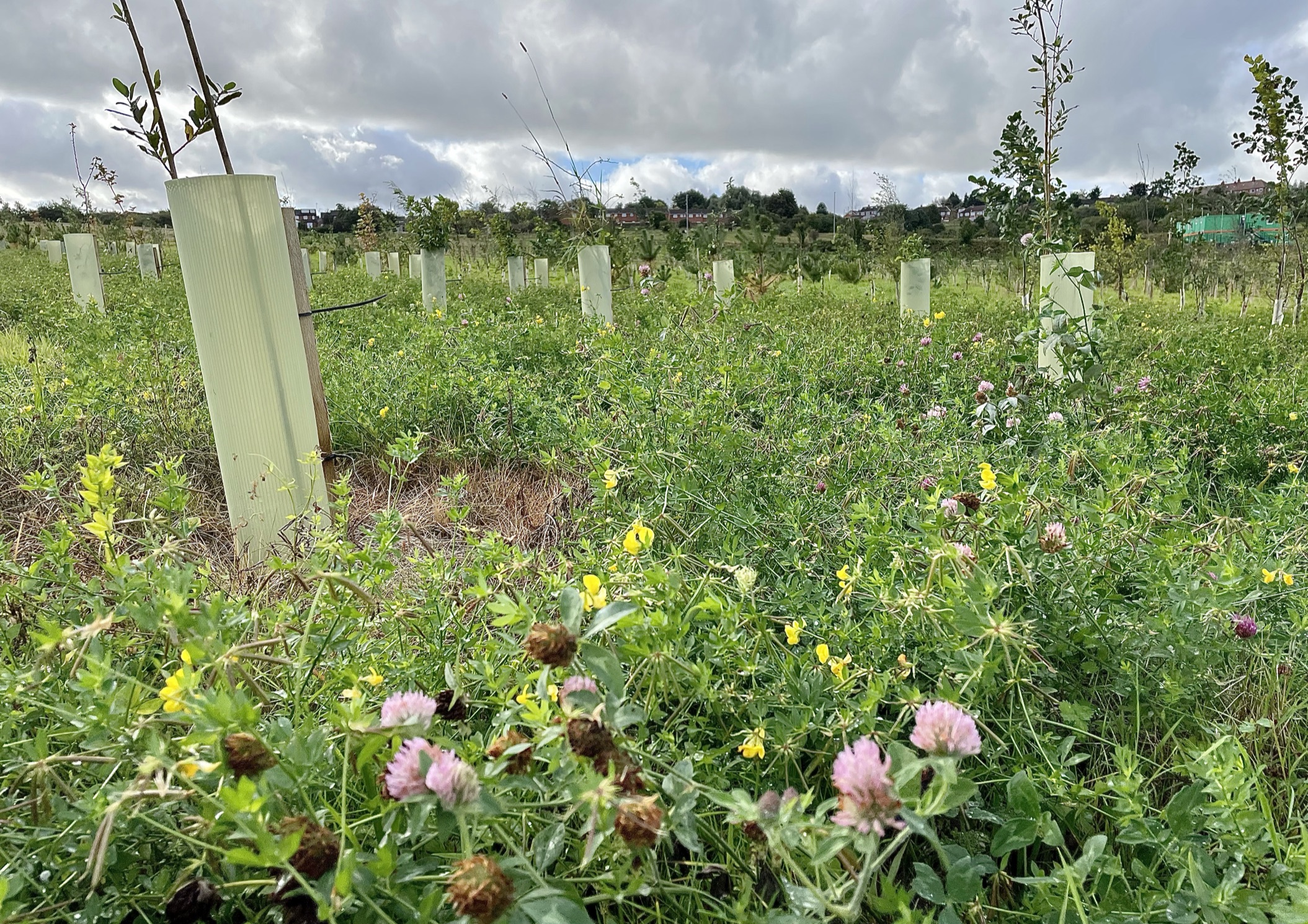 Landscaping Suppliers Wholesale Garden Supplies Greentech